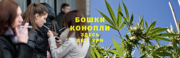 ГАЛЛЮЦИНОГЕННЫЕ ГРИБЫ Горно-Алтайск