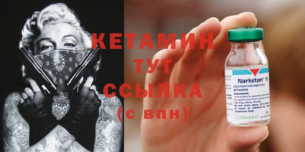 ГАЛЛЮЦИНОГЕННЫЕ ГРИБЫ Горно-Алтайск