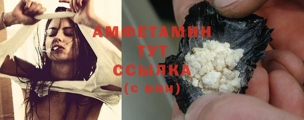 ГАЛЛЮЦИНОГЕННЫЕ ГРИБЫ Горно-Алтайск