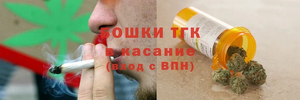 ГАЛЛЮЦИНОГЕННЫЕ ГРИБЫ Горно-Алтайск