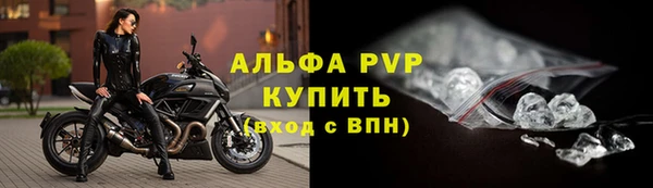 PSILOCYBIN Волосово