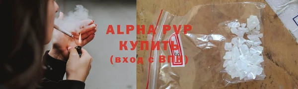 ECSTASY Горняк