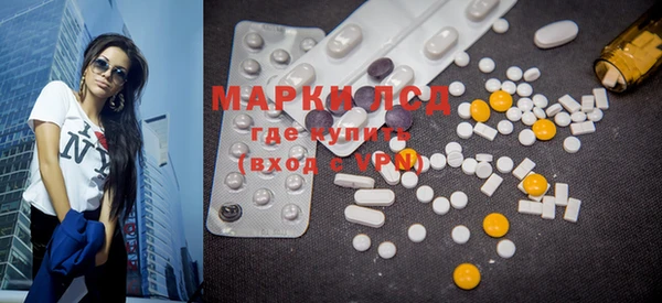 ECSTASY Горняк