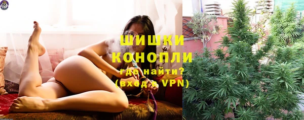 ECSTASY Горняк
