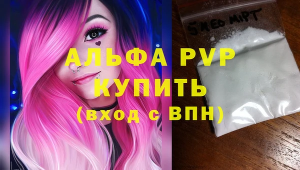 ECSTASY Горняк