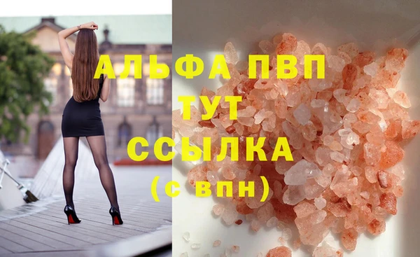 ГАЛЛЮЦИНОГЕННЫЕ ГРИБЫ Горно-Алтайск