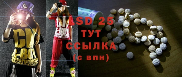 ECSTASY Горняк