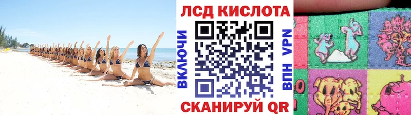 Марки N-bome 1,8мг  мега как зайти  Долгопрудный  darknet формула  закладки 