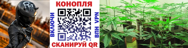 Канабис планчик  где купить наркоту  Долгопрудный 